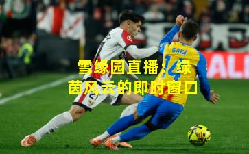 雪缘园直播：绿茵风云的即时窗口