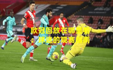 欧冠回放在哪里看:球迷的观赛指南