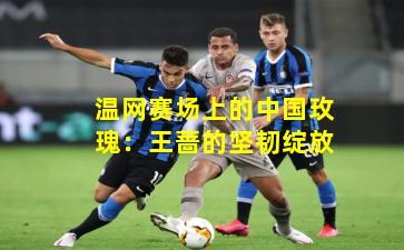 温网赛场上的中国玫瑰:王蔷的坚韧绽放