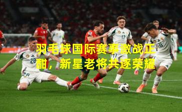 羽毛球国际赛事激战正酣，新星老将共逐荣耀