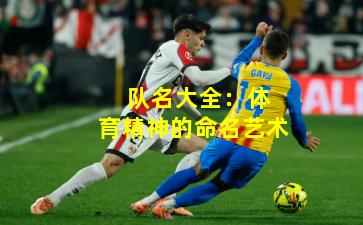 队名大全:体育精神的命名艺术